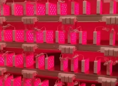 red light therapy hub