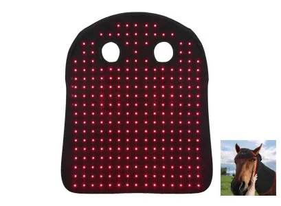 red light therapy for horses head
