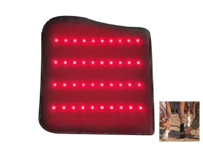 red light therapy for horses legs