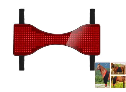 red light therapy belt for horse