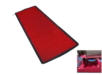 red light therapy mat for animals