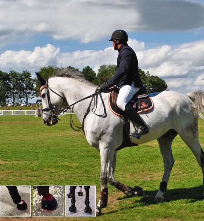 led red light therapy equine